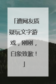 遭网友质疑玩文字游戏，刚刚，白象致歉！