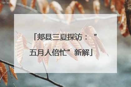 郏县三夏探访：“五月人倍忙”新解