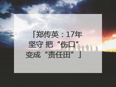 郑传英：17年坚守 把“伤口”变成“责任田”