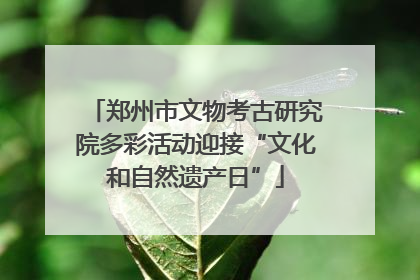 郑州市文物考古研究院多彩活动迎接“文化和自然遗产日”