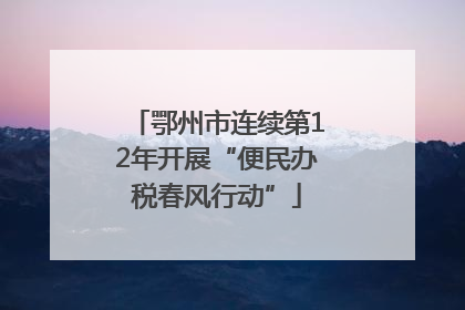 鄂州市连续第12年开展“便民办税春风行动”