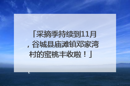 采摘季持续到11月，谷城县庙滩镇邓家湾村的蜜桃丰收啦！