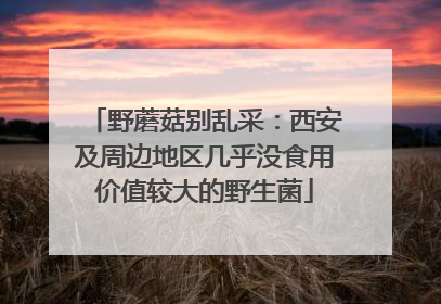 野蘑菇别乱采：西安及周边地区几乎没食用价值较大的野生菌