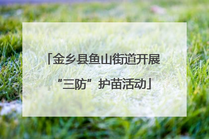 金乡县鱼山街道开展“三防”护苗活动