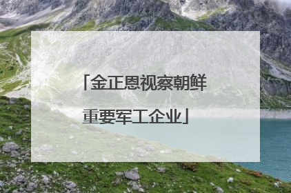 金正恩视察朝鲜重要军工企业
