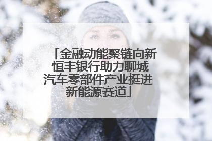 金融动能聚链向新 恒丰银行助力聊城汽车零部件产业挺进新能源赛道