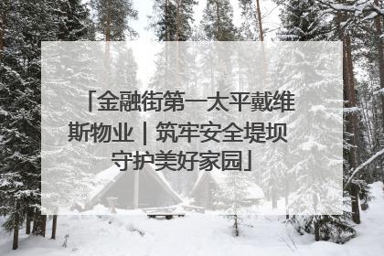 金融街第一太平戴维斯物业｜筑牢安全堤坝 守护美好家园