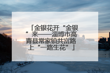 金银花开“金银”来——淄博市高青县常家镇共富路上“一路生花”