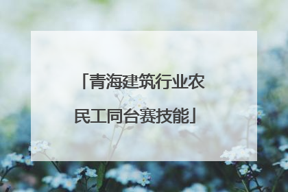 青海建筑行业农民工同台赛技能
