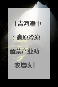 青海湟中：高原冷凉蔬菜产业助农增收