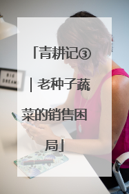 青耕记③｜老种子蔬菜的销售困局