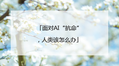 面对AI“抗命”，人类该怎么办