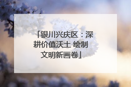 银川兴庆区：深耕价值沃土 绘制文明新画卷