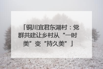 铜川宜君东湖村：党群共建让乡村从“一时美”变“持久美”