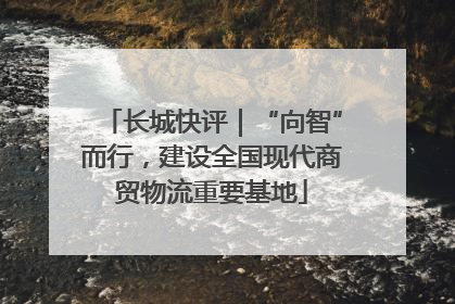 长城快评｜“向智”而行，建设全国现代商贸物流重要基地