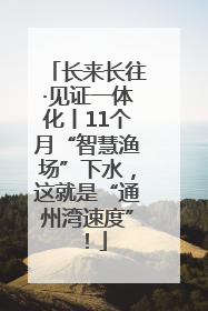 长来长往·见证一体化丨11个月“智慧渔场”下水，这就是“通州湾速度”！