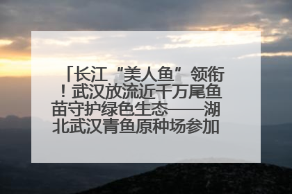 长江“美人鱼”领衔！武汉放流近千万尾鱼苗守护绿色生态——湖北武汉青鱼原种场参加2025年“全国放鱼日”增殖放流活动