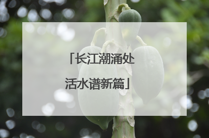 长江潮涌处 活水谱新篇