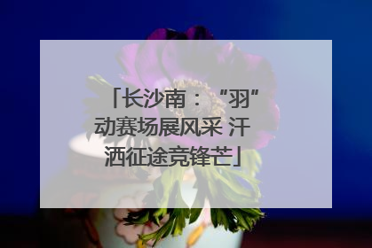 长沙南：“羽”动赛场展风采 汗洒征途竞锋芒