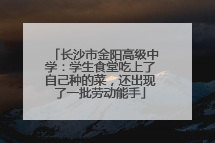 长沙市金阳高级中学：学生食堂吃上了自己种的菜，还出现了一批劳动能手