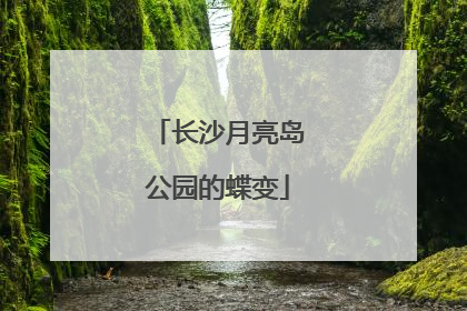 长沙月亮岛公园的蝶变
