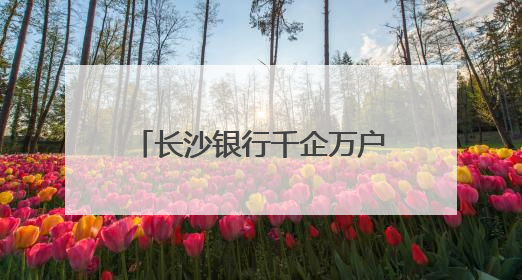 长沙银行千企万户大走访·永州祁阳高新区专场举行