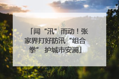 闻“汛”而动！张家界打好防汛“组合拳” 护城市安澜