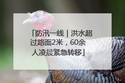 防汛一线｜洪水超过路面2米，60余人凌晨紧急转移