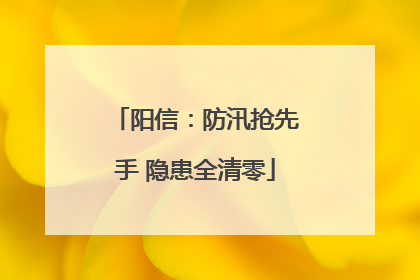 阳信：防汛抢先手 隐患全清零
