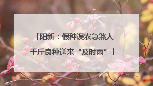 阳新：假种误农急煞人 千斤良种送来“及时雨”