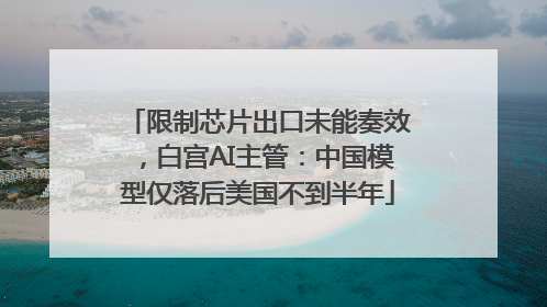 限制芯片出口未能奏效，白宫AI主管：中国模型仅落后美国不到半年