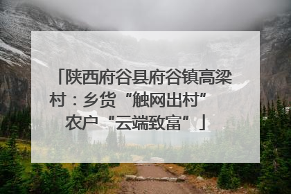 陕西府谷县府谷镇高梁村：乡货“触网出村” 农户“云端致富”