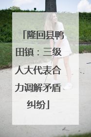 隆回县鸭田镇：三级人大代表合力调解矛盾纠纷
