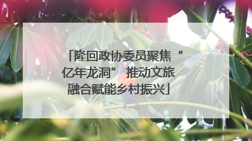 隆回政协委员聚焦“亿年龙洞” 推动文旅融合赋能乡村振兴
