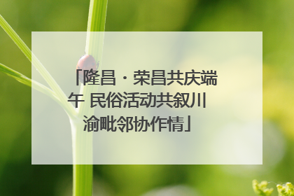隆昌・荣昌共庆端午 民俗活动共叙川渝毗邻协作情