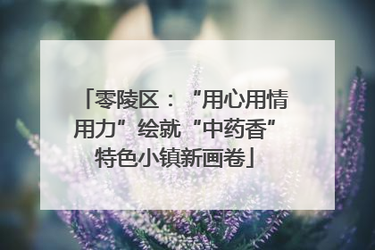 零陵区：“用心用情用力”绘就“中药香”特色小镇新画卷
