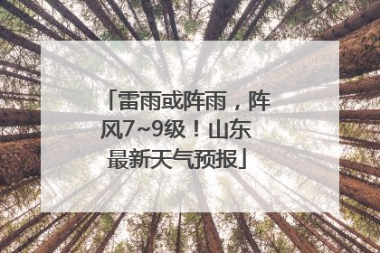 雷雨或阵雨，阵风7~9级！山东最新天气预报