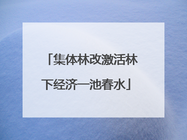 集体林改激活林下经济一池春水