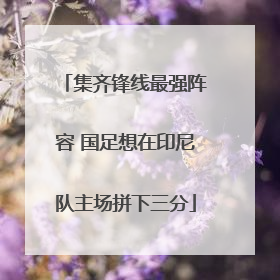 集齐锋线最强阵容 国足想在印尼队主场拼下三分