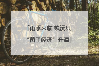 雨季来临 镇沅县“菌子经济”升温