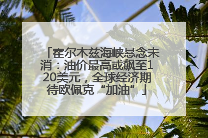 霍尔木兹海峡悬念未消：油价最高或飙至120美元，全球经济期待欧佩克“加油”