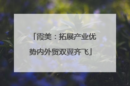 霞美：拓展产业优势内外贸双翼齐飞