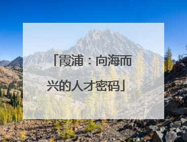 霞浦：向海而兴的人才密码