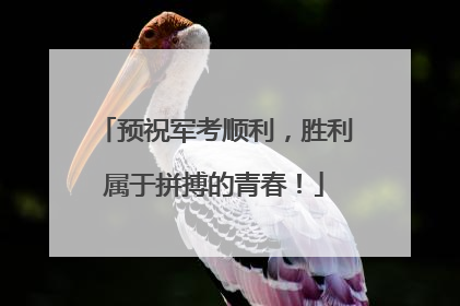 预祝军考顺利，胜利属于拼搏的青春！