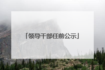 领导干部任前公示