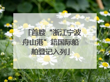 首艘“浙江宁波舟山港”籍国际船舶登记入列