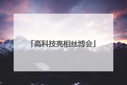 高科技亮相丝博会