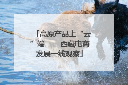 高原产品上“云”端——西藏电商发展一线观察