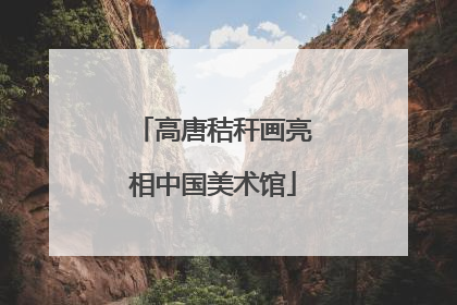 高唐秸秆画亮相中国美术馆