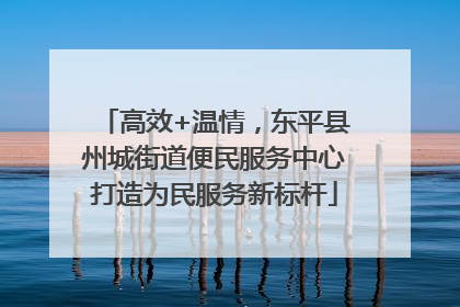 高效+温情，东平县州城街道便民服务中心打造为民服务新标杆